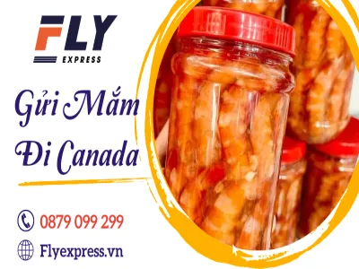 Gửi mắm đi Canada Nhanh Gọn An Toàn